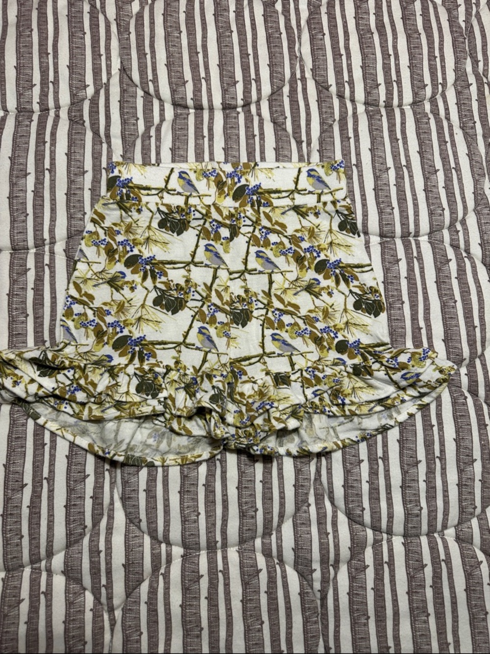 Kate Quinn ruffle shorts